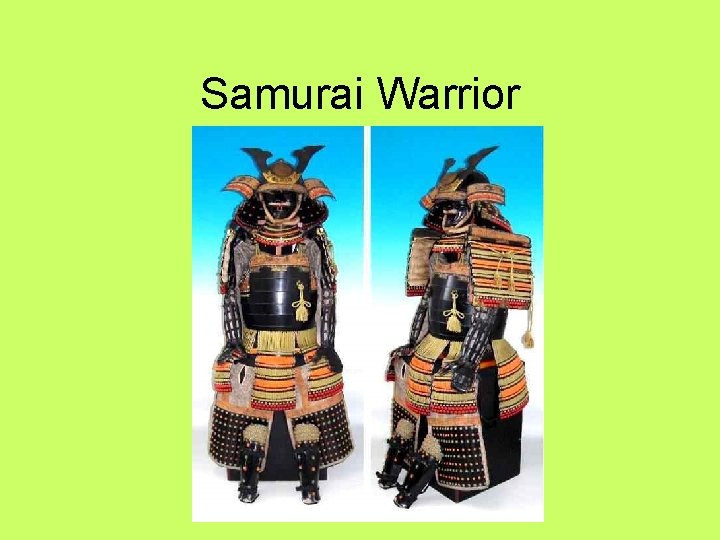 Samurai Warrior 