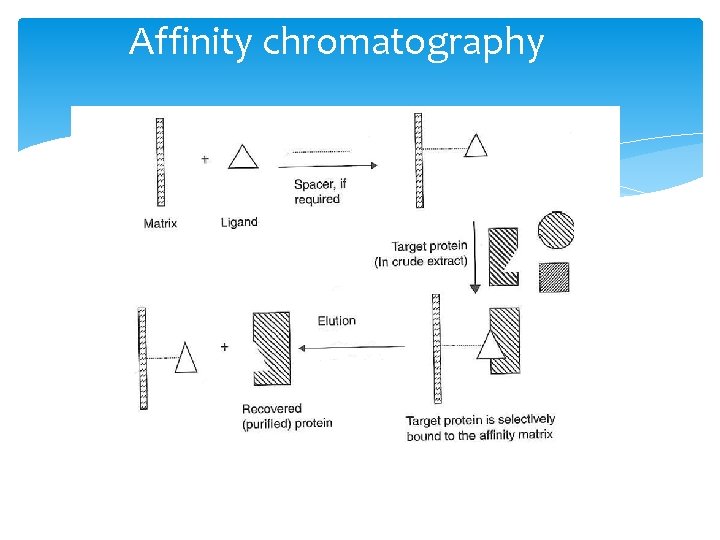 Affinity chromatography 