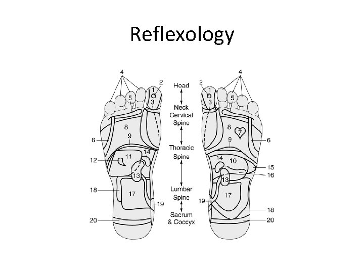 Reflexology 