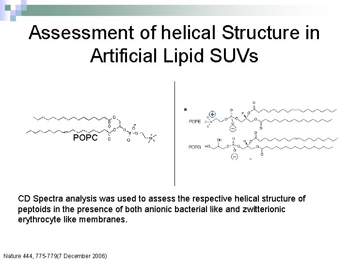 Assessment of helical Structure in Artificial Lipid SUVs POPC CD Spectra analysis was used