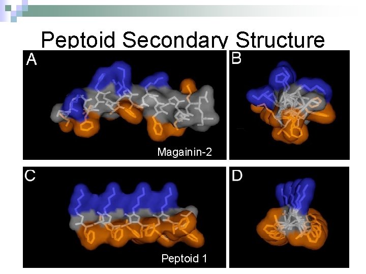Peptoid Secondary Structure Magainin-2 Peptoid 1 
