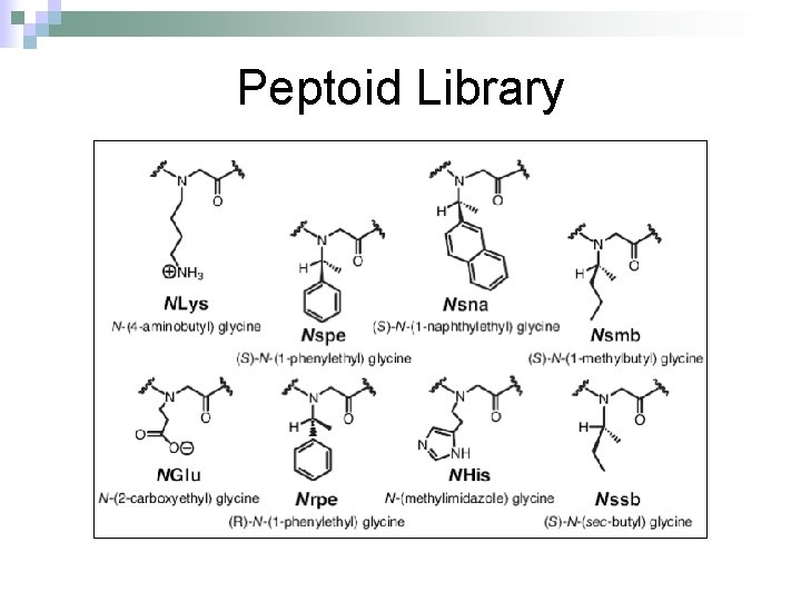 Peptoid Library 