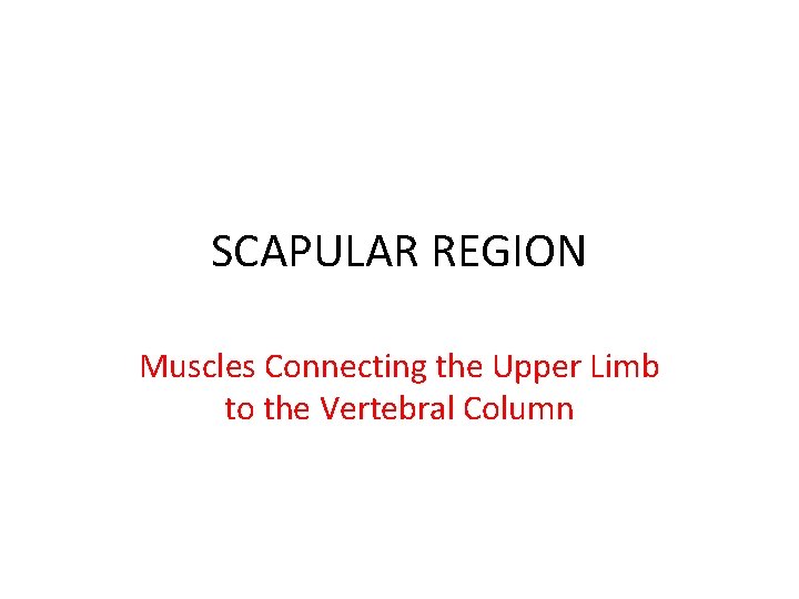 SCAPULAR REGION Muscles Connecting the Upper Limb to the Vertebral Column 