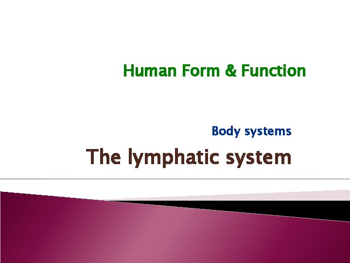 Human Form & Function Body systems The lymphatic system 