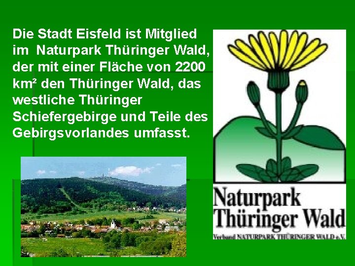 Die Stadt Eisfeld ist Mitglied im Naturpark Thüringer Wald, der mit einer Fläche von