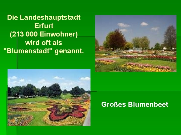 Die Landeshauptstadt Erfurt (213 000 Einwohner) wird oft als "Blumenstadt" genannt. Großes Blumenbeet 