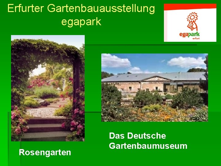 Erfurter Gartenbauausstellung egapark Rosengarten Das Deutsche Gartenbaumuseum 