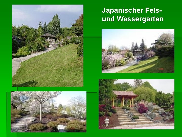 Japanischer Felsund Wassergarten 