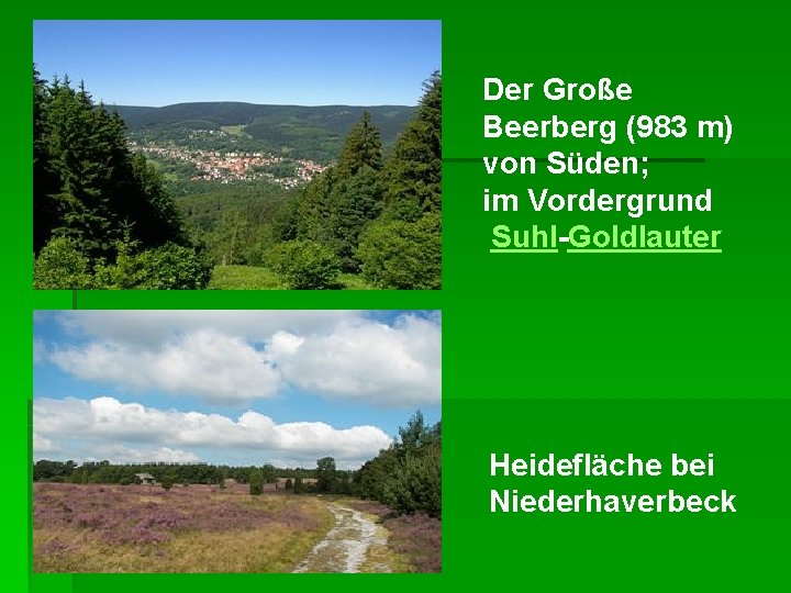 Der Große Beerberg (983 m) von Süden; im Vordergrund Suhl-Goldlauter Heidefläche bei Niederhaverbeck 