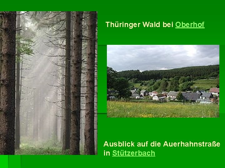 Thüringer Wald bei Oberhof Ausblick auf die Auerhahnstraße in Stützerbach 