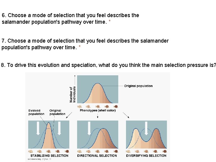 6. Choose a mode of selection that you feel describes the salamander population's pathway