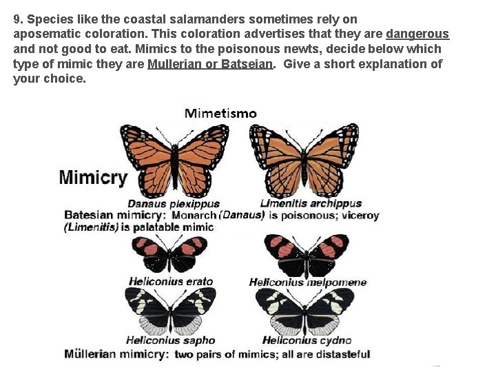 9. Species like the coastal salamanders sometimes rely on aposematic coloration. This coloration advertises