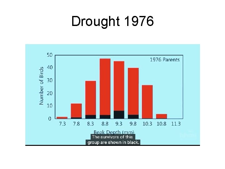 Drought 1976 