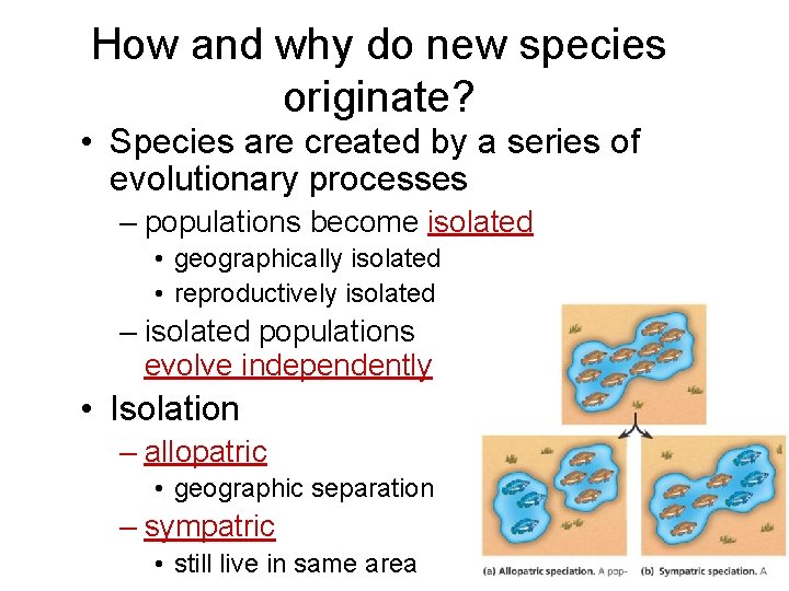 How and why do new species originate? • Species are created by a series