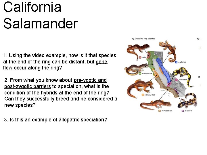 California Salamander 1. Using the video example, how is it that species at the