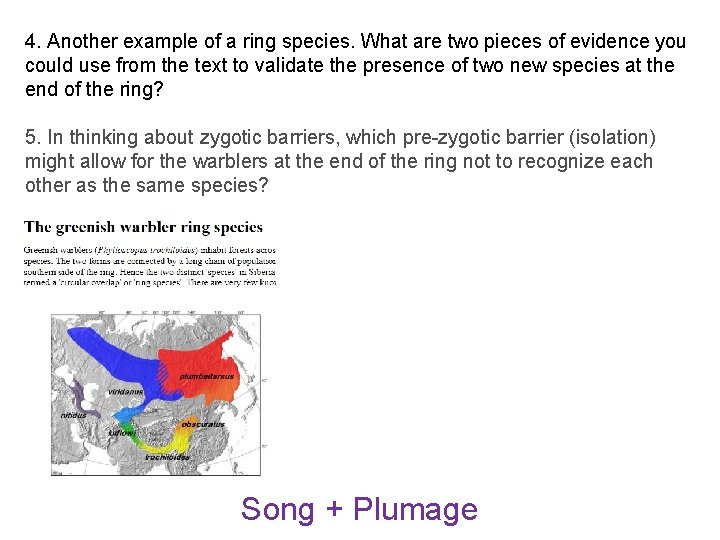 4. Another example of a ring species. What are two pieces of evidence you