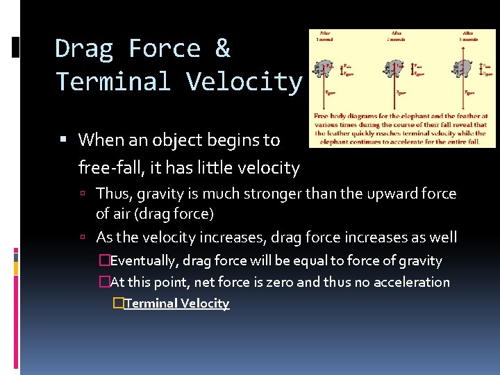 Drag Force & Terminal Velocity When an object begins to free-fall, it has little
