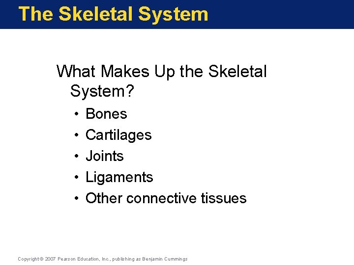 The Skeletal System What Makes Up the Skeletal System? • • • Bones Cartilages