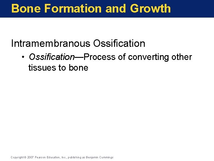 Bone Formation and Growth Intramembranous Ossification • Ossification—Process of converting other tissues to bone
