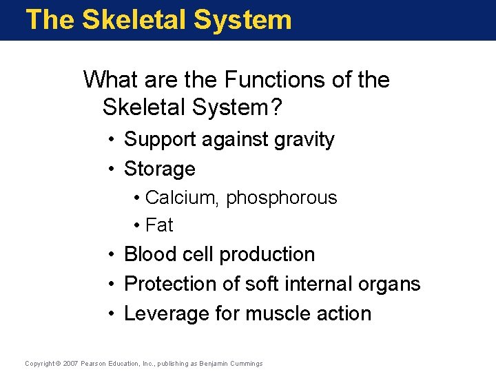 The Skeletal System What are the Functions of the Skeletal System? • Support against