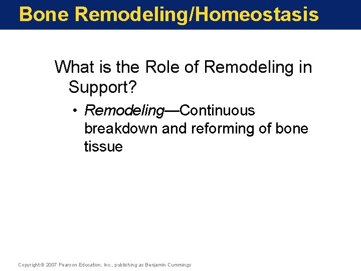 Bone Remodeling/Homeostasis What is the Role of Remodeling in Support? • Remodeling—Continuous breakdown and