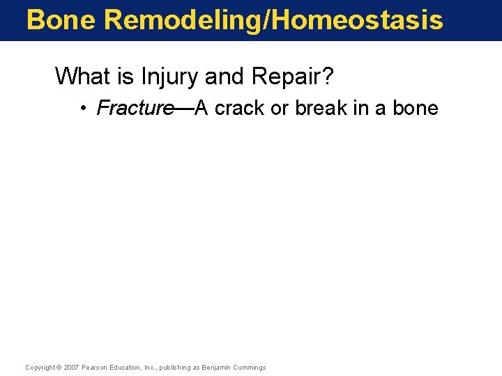 Bone Remodeling/Homeostasis What is Injury and Repair? • Fracture—A crack or break in a