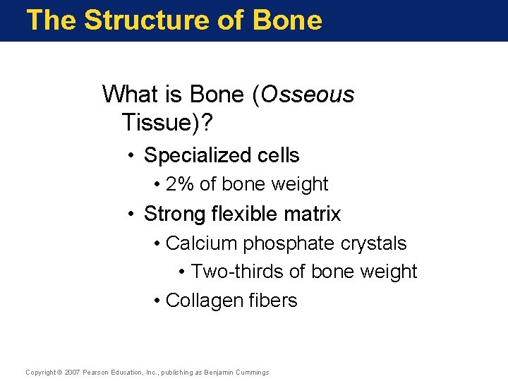 The Structure of Bone What is Bone (Osseous Tissue)? • Specialized cells • 2%
