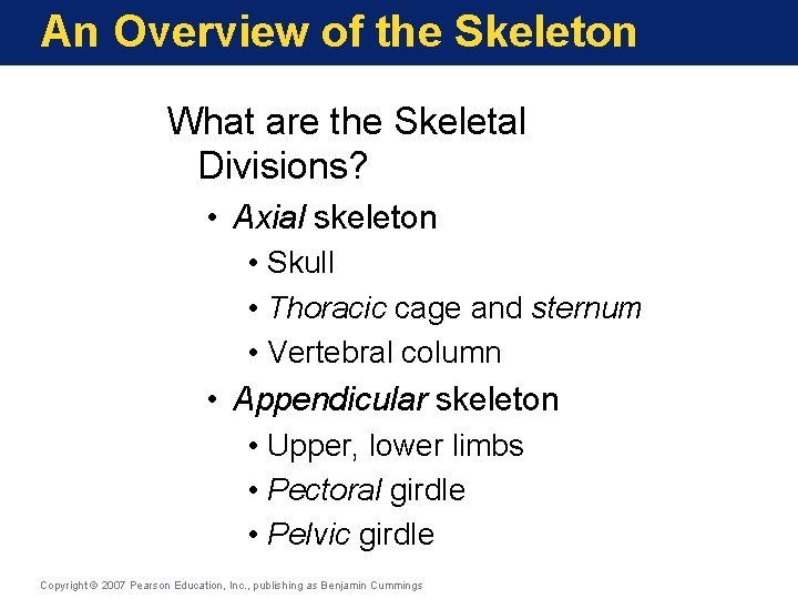 An Overview of the Skeleton What are the Skeletal Divisions? • Axial skeleton •