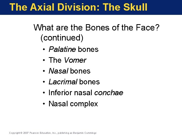 The Axial Division: The Skull What are the Bones of the Face? (continued) •