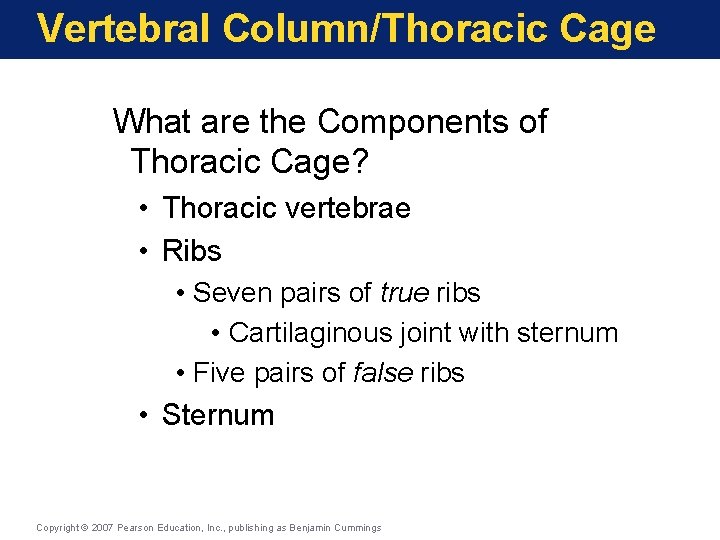 Vertebral Column/Thoracic Cage What are the Components of Thoracic Cage? • Thoracic vertebrae •