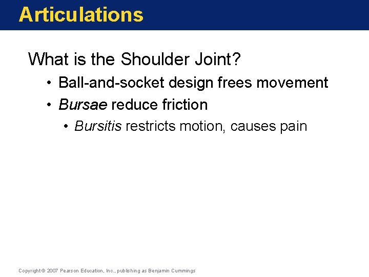 Articulations What is the Shoulder Joint? • Ball-and-socket design frees movement • Bursae reduce