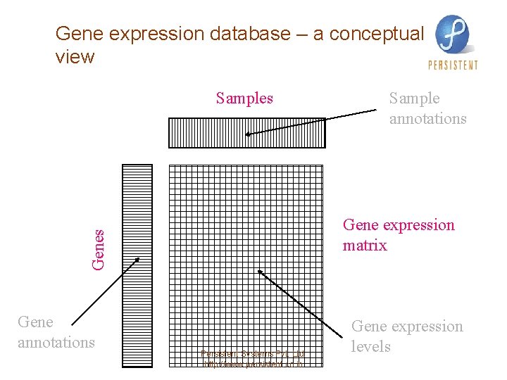 Gene expression database – a conceptual view Samples Gene expression matrix Genes Gene annotations