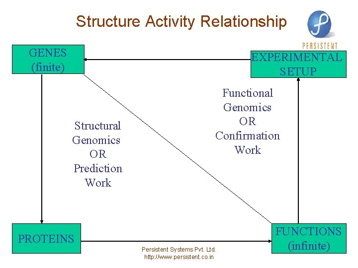 Structure Activity Relationship GENES (finite) EXPERIMENTAL SETUP Structural Genomics OR Prediction Work Functional Genomics