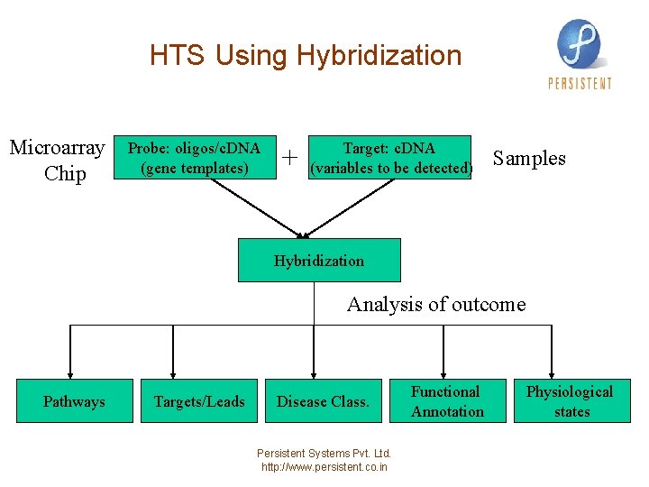 HTS Using Hybridization Microarray Chip Probe: oligos/c. DNA (gene templates) + Target: c. DNA