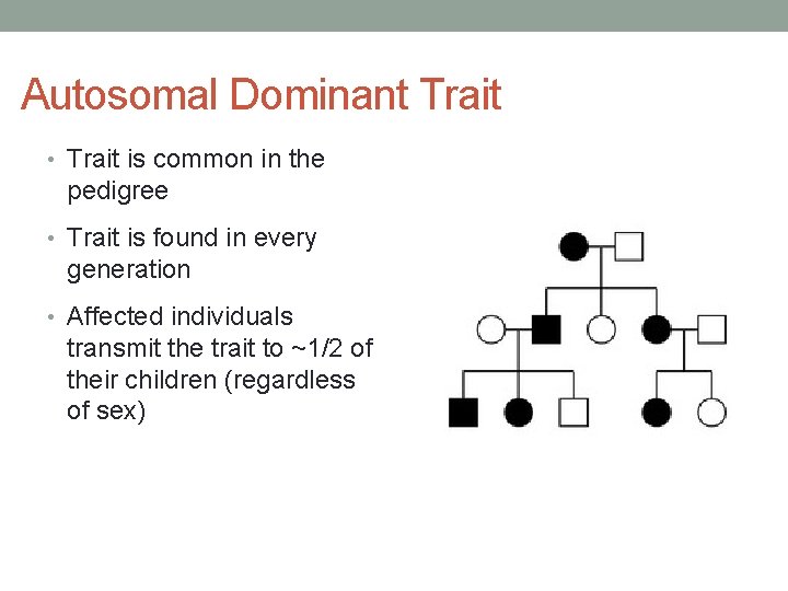 Autosomal Dominant Trait • Trait is common in the pedigree • Trait is found