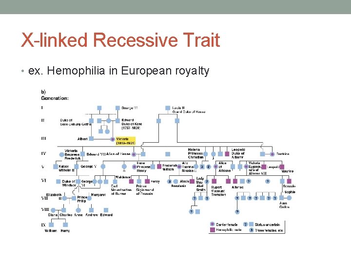 X-linked Recessive Trait • ex. Hemophilia in European royalty 