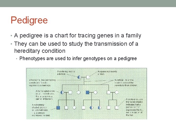 Pedigree • A pedigree is a chart for tracing genes in a family •