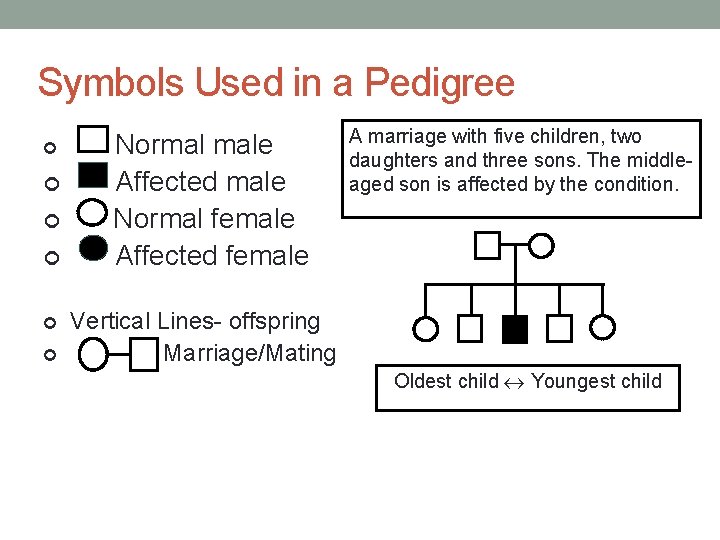 Symbols Used in a Pedigree ¢ ¢ ¢ Normal male Affected male Normal female