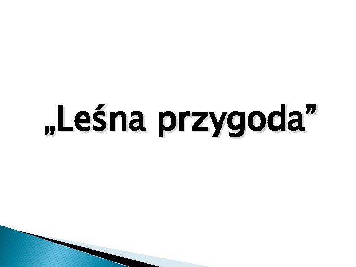 „Leśna przygoda” 