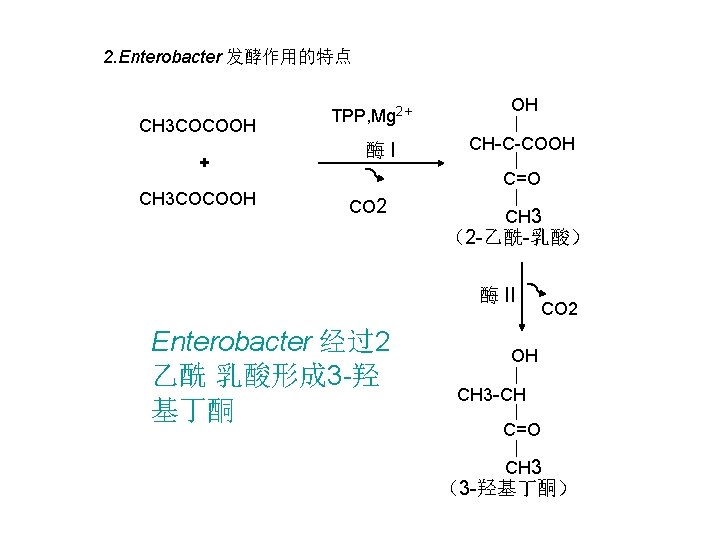 2. Enterobacter 发酵作用的特点 CH 3 COCOOH + CH 3 COCOOH TPP, Mg 2+ 酶I