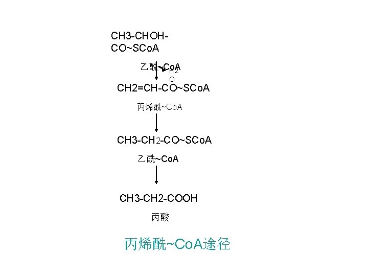 CH 3 -CHOHCO~SCo. A 乙酰~Co. A H 2 O CH 2=CH-CO~SCo. A 丙烯酰~Co. A