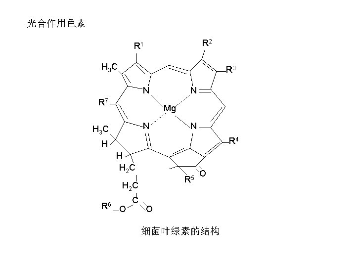 光合作用色素 R 2 R 1 H 3 C R 3 N R 7 N