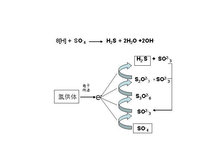 8[H] + SO-4 H 2 S + 2 H 2 O +2 OHH 2