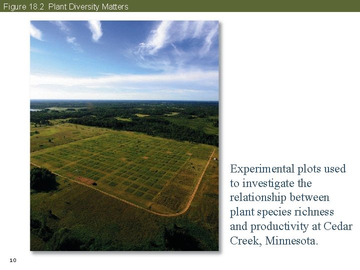 Figure 18. 2 Plant Diversity Matters Experimental plots used to investigate the relationship between