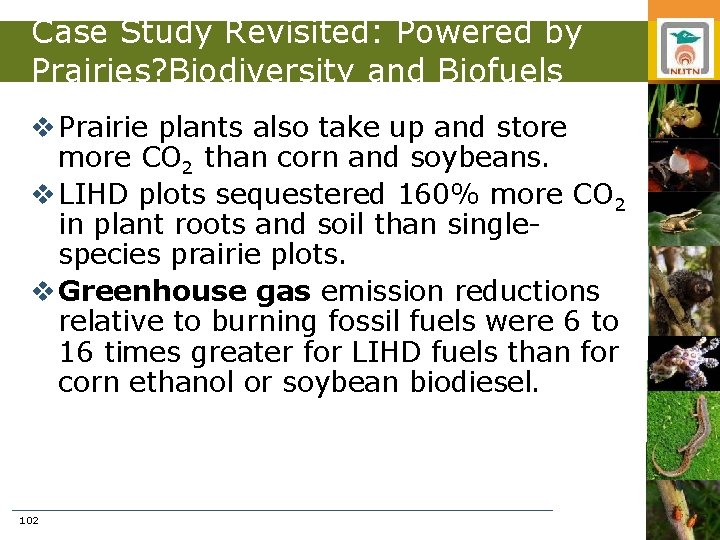 Case Study Revisited: Powered by Prairies? Biodiversity and Biofuels v Prairie plants also take