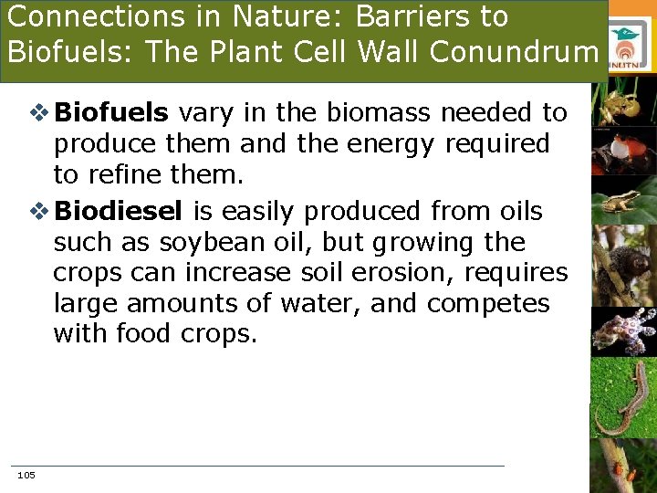 Connections in Nature: Barriers to Biofuels: The Plant Cell Wall Conundrum v Biofuels vary