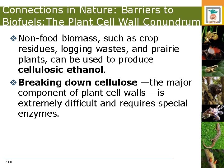 Connections in Nature: Barriers to Biofuels: The Plant Cell Wall Conundrum v Non-food biomass,