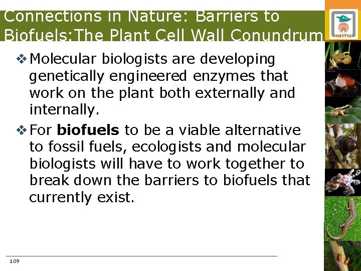 Connections in Nature: Barriers to Biofuels: The Plant Cell Wall Conundrum v Molecular biologists