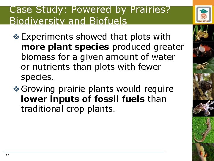 Case Study: Powered by Prairies? Biodiversity and Biofuels v Experiments showed that plots with