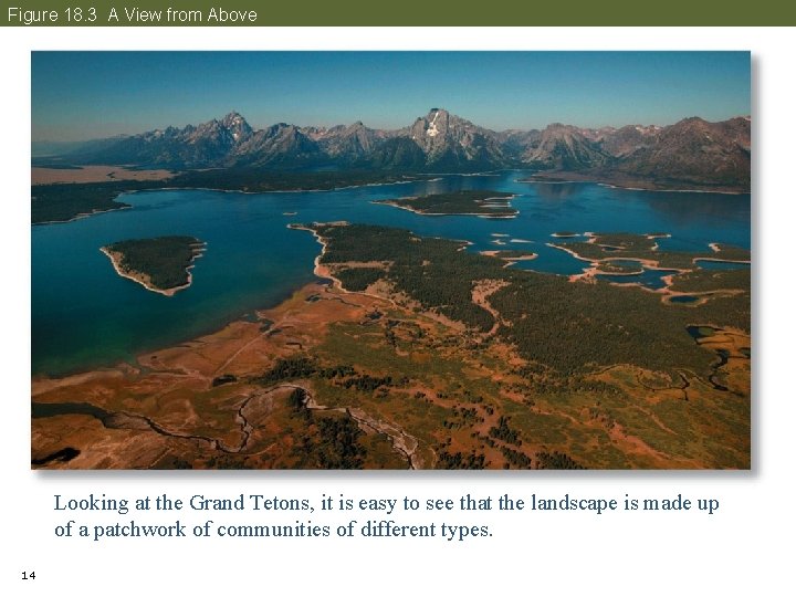 Figure 18. 3 A View from Above Looking at the Grand Tetons, it is